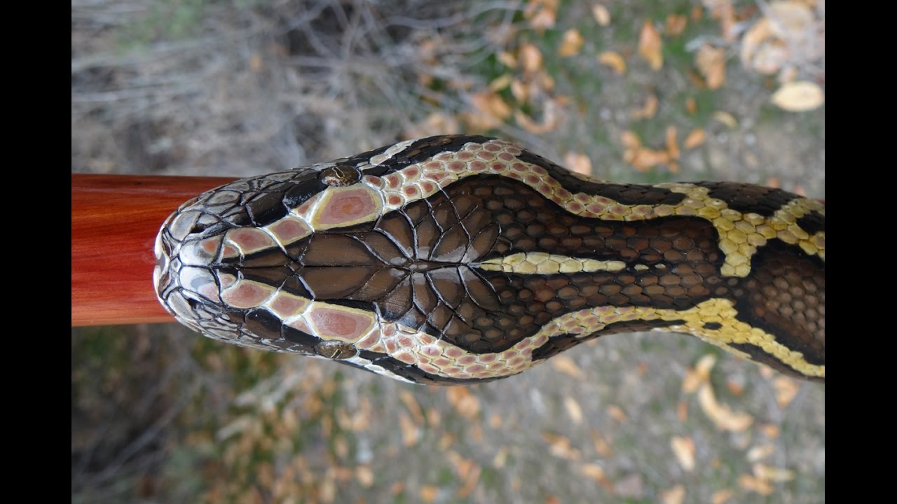Wood Carved Burmese Python Walkingstick #57