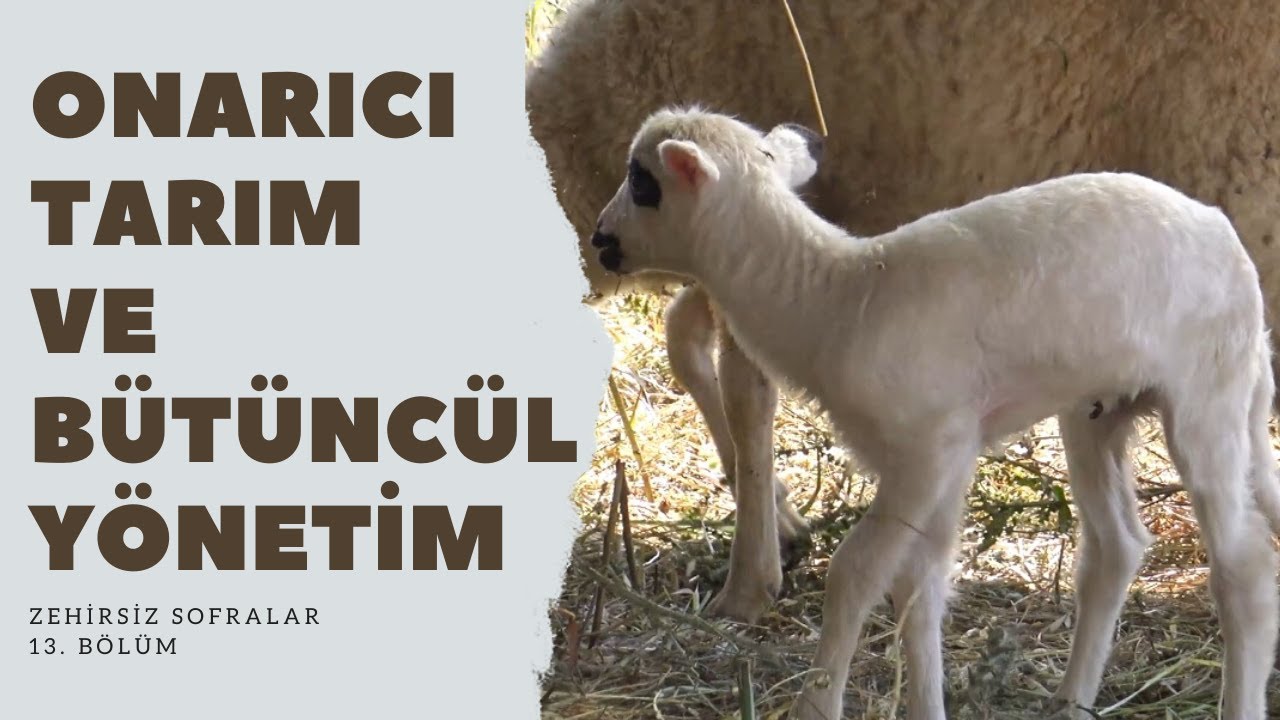 Zehirsiz Sofralar Belgeseli 13. Bölüm - Onarıcı Tarım ve Bütüncül Yönetim