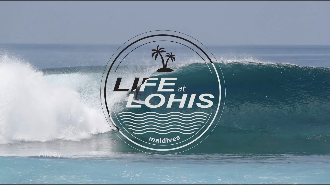 life@lohis:. junglefamily