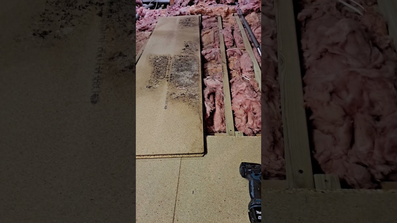 Why you should never leave an air gap between insulation and loft boarding #shortsvideo #shorts
