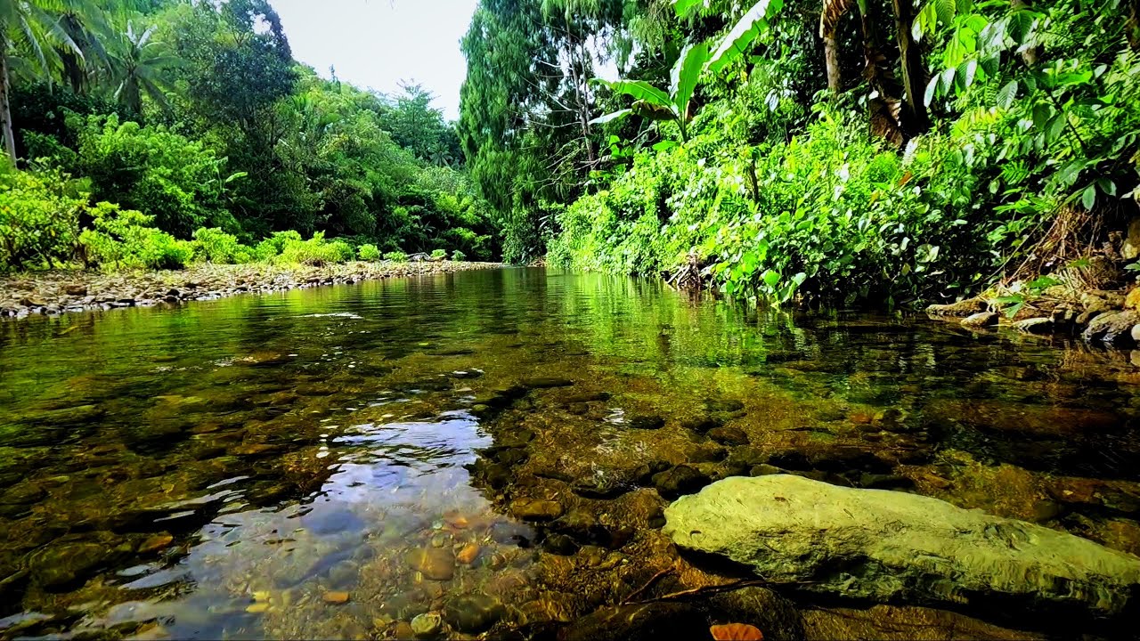 Peaceful River Sound 🌿 Crystal Water for Deep Sleep & Relaxation