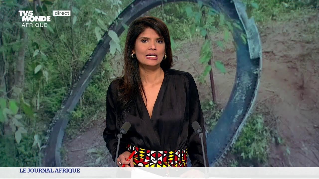 Le journal Afrique du lundi 6 janvier 2025 sur TV5MONDE