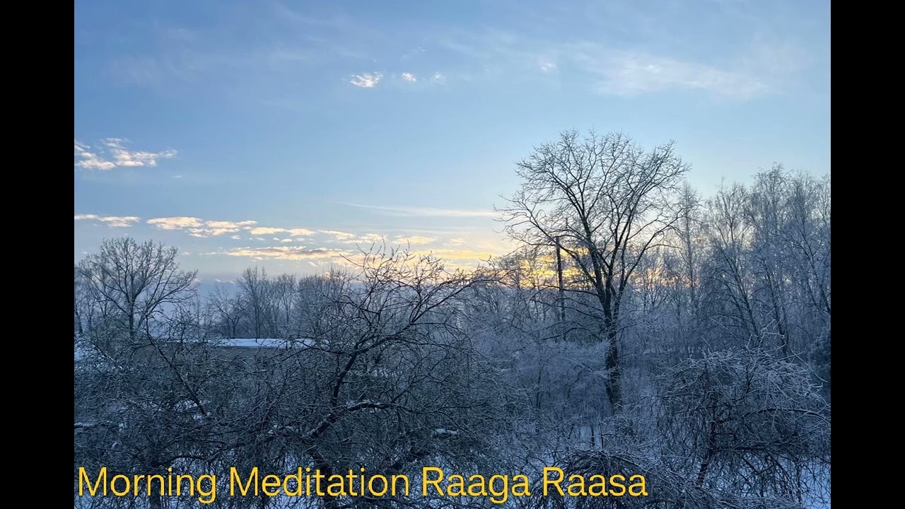 Morning Meditation Music | Raaga Raasa | Sitar | Subrata De