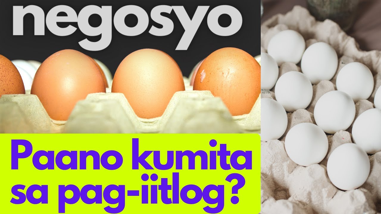 Paano Kumikita sa Itlog Business | Egg Wholesale Negosyo | From Farm Selling Depot winwin farm