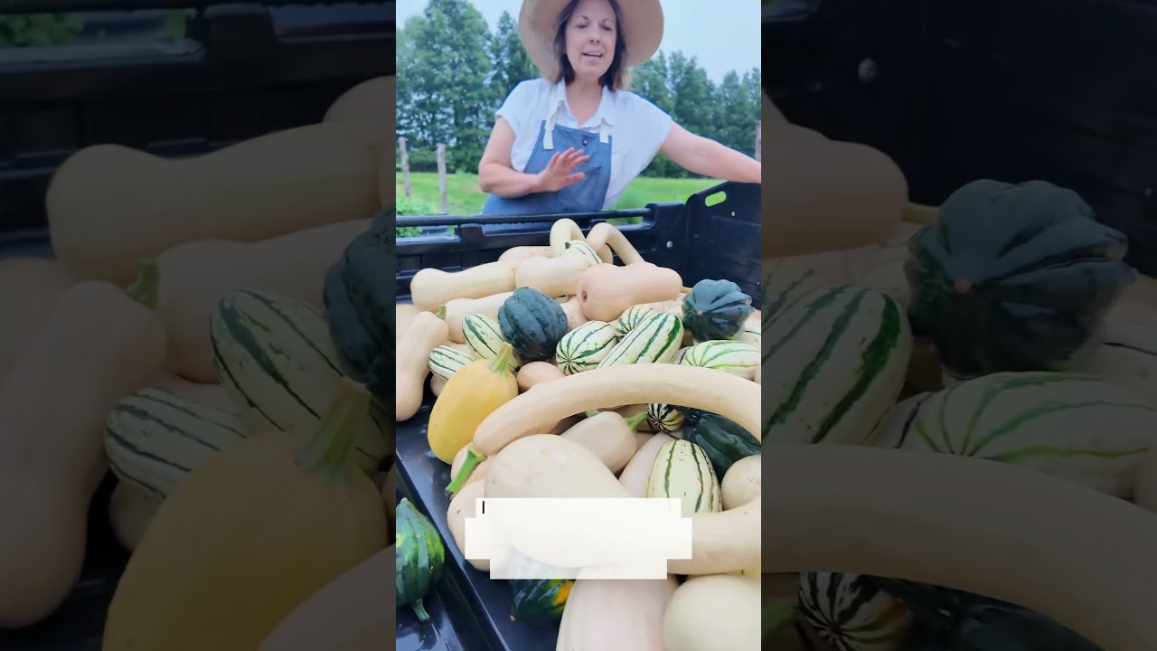 Super fun and prolific plants that come in a wide range of colors, shapes, and sizes. #squash