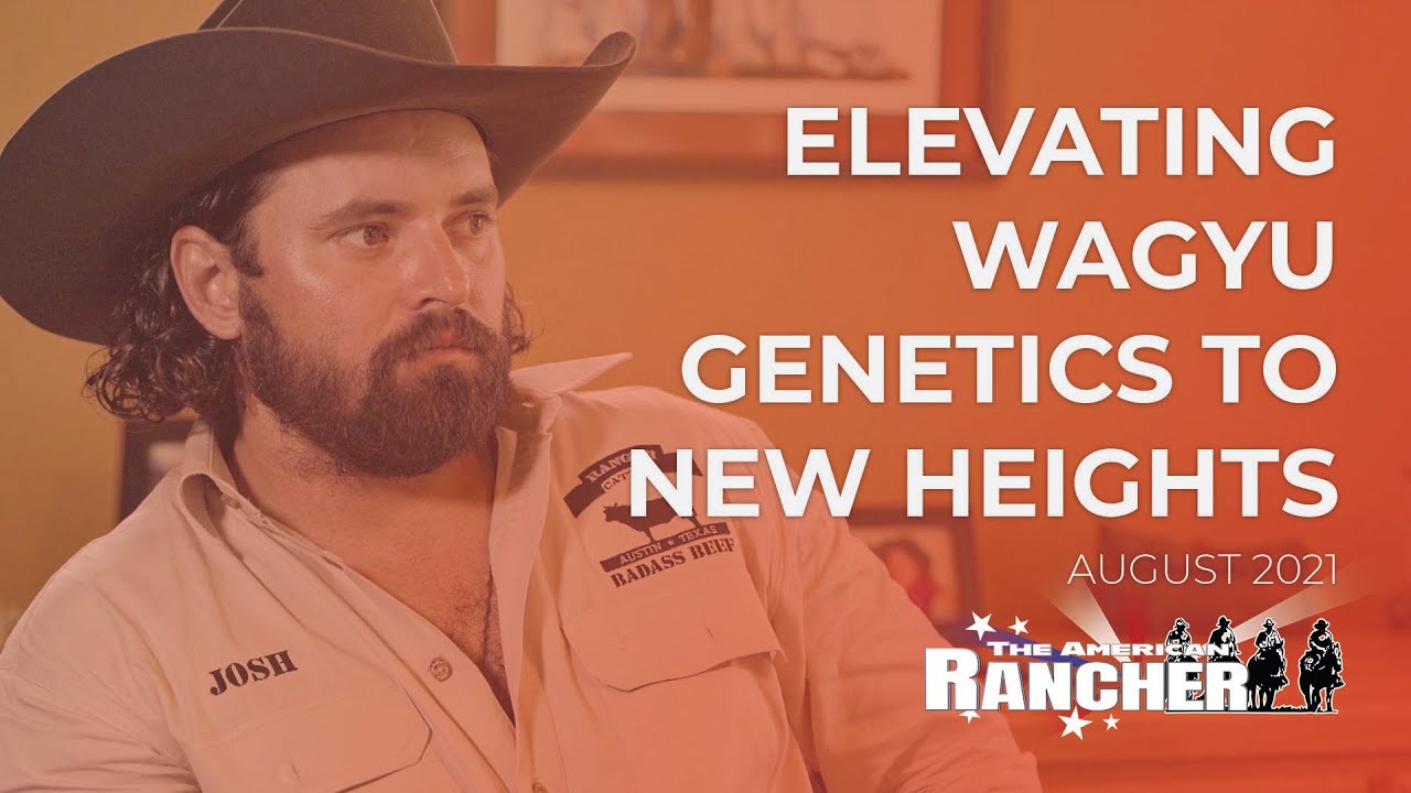 Elevating Wagyu Genetics to New Heights | The American Rancher