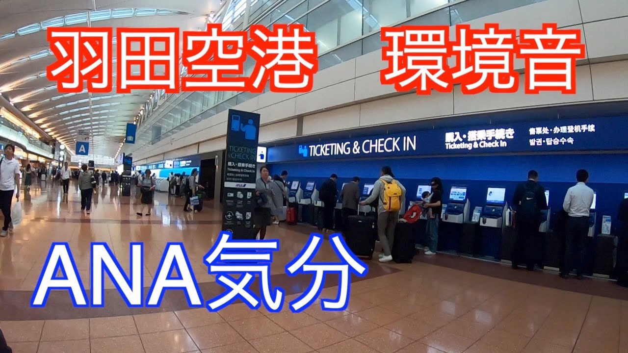 ANA 羽田空港第2ターミナル 環境音 全日空