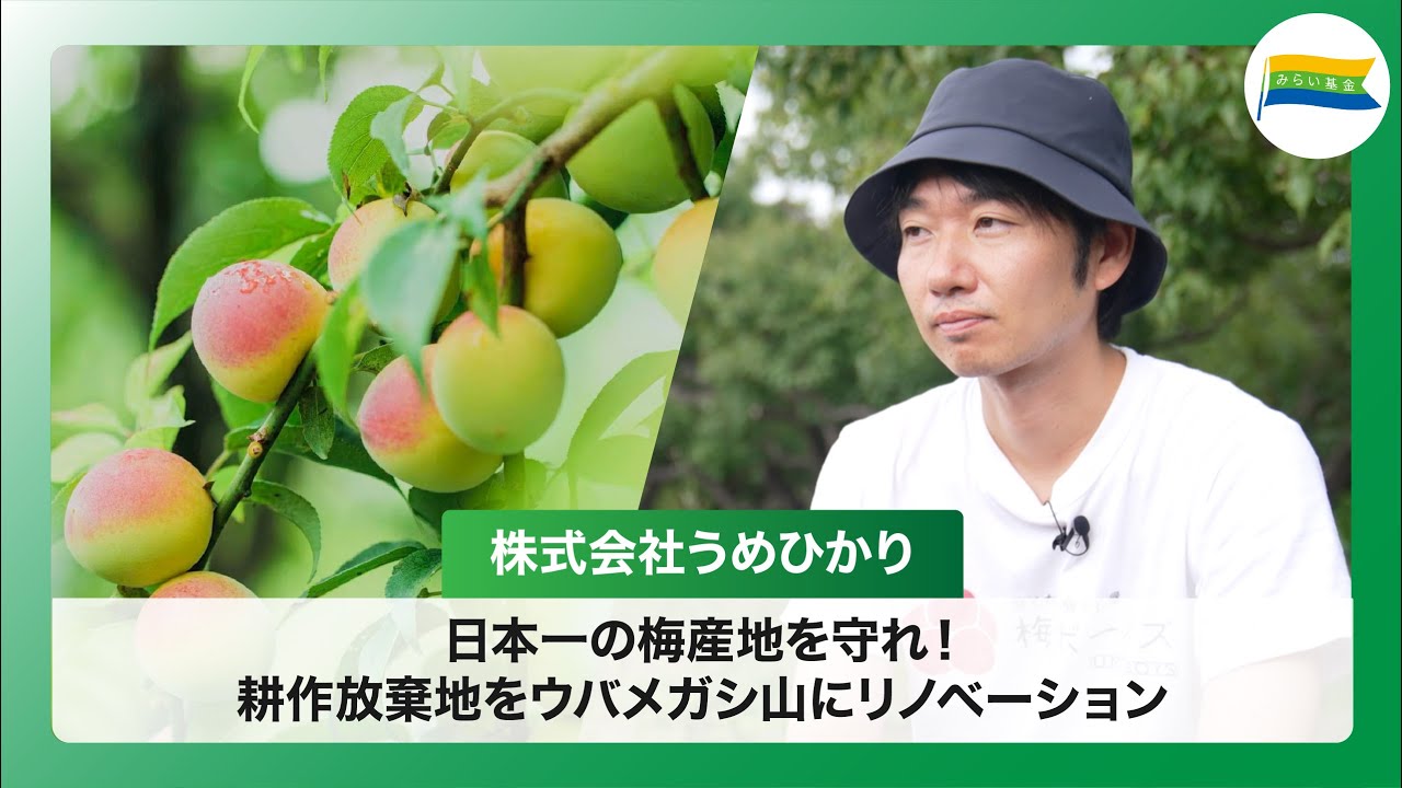 株式会社うめひかり 日本一の梅産地を守れ！耕作放棄地をウバメガシ山にリノベーション