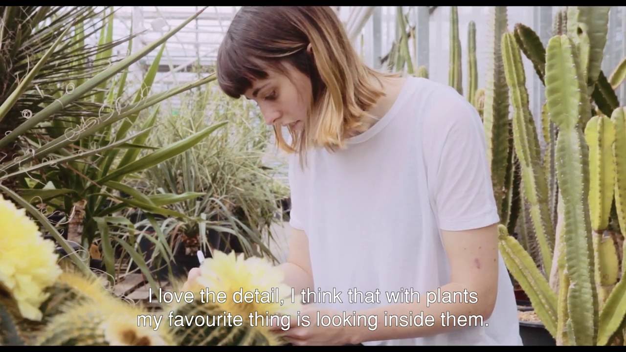 Exposé #13: illustrator Katie Scott about her book Botanicum