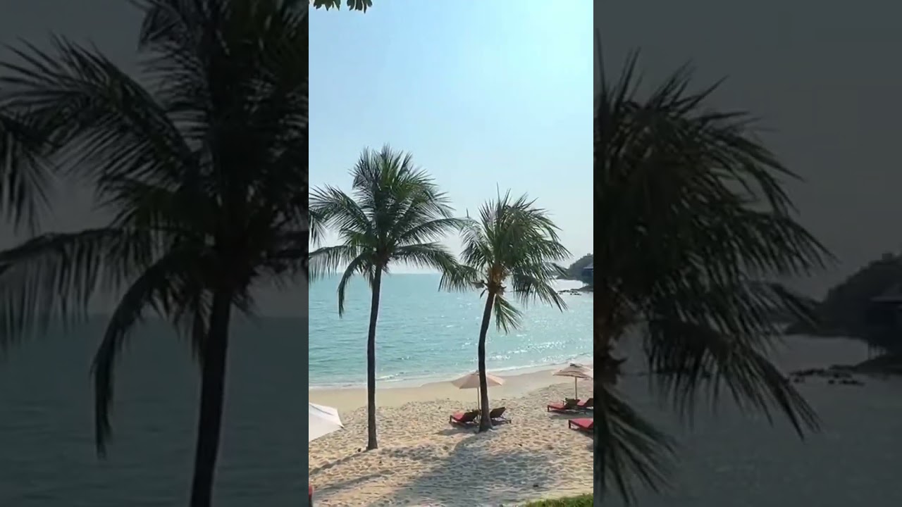 Ritz-carlton Langkawi ~ Beach Pool House awesome! 😍#hotel #dining