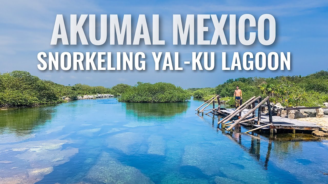 Snorkeling Yal-Ku Lagoon AKUMAL, MEXICO [4K] 2020