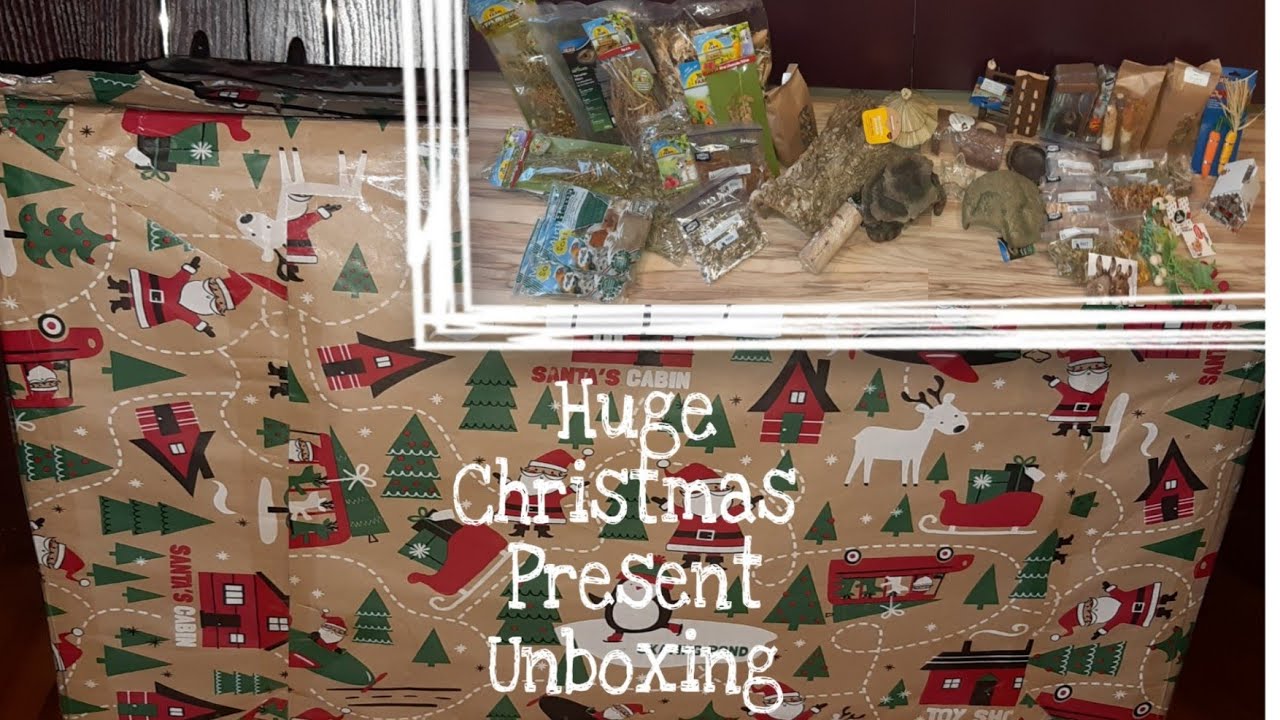 Huge Hamster Christmas Present Haul! | Hamster Adventures
