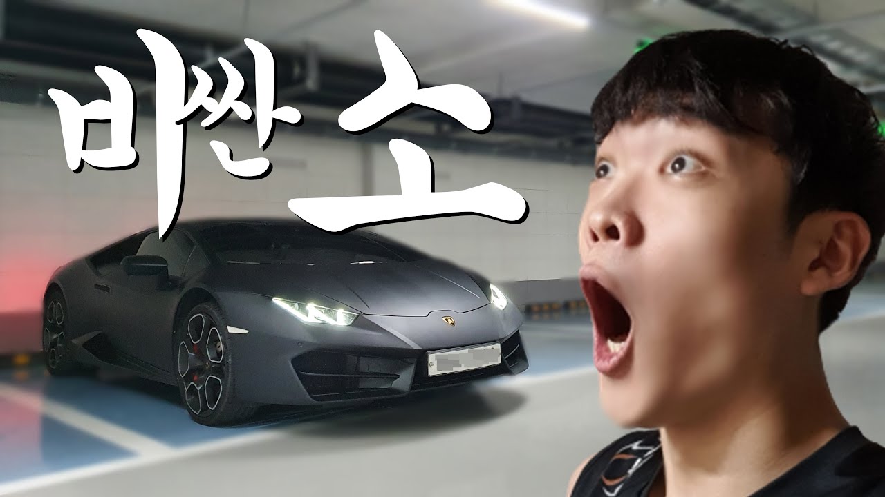 쌀보형 람 것 같아..