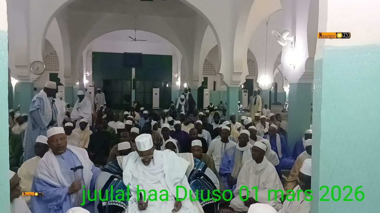 Gila juulal ,batu ceerno ,haa Duuso 01.03.2026