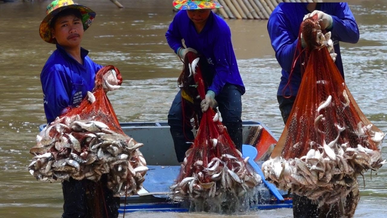 น้ำไหลแบบนี้ พายเรือหว่านแหตรงกลางลำห้วย ผลที่ได้เต็มเกินคาด