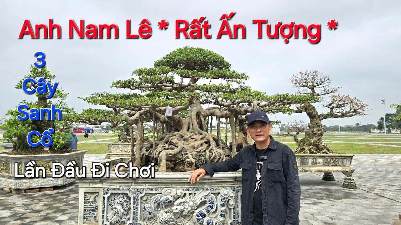 Anh NAM LÊ * ẤN TƯỢNG * 3 CÂY SANH CỔ QUÝ lần đầu đi chơi ở TL ĐỀN TRẦN NAM ĐỊNH 2026 .