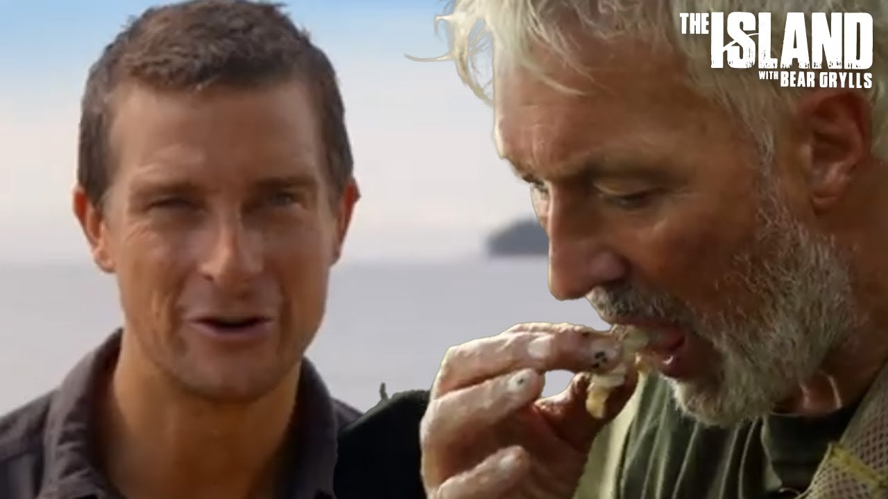 Tested By The Wild | Celeb Season 3 | The Island with Bear Grylls
