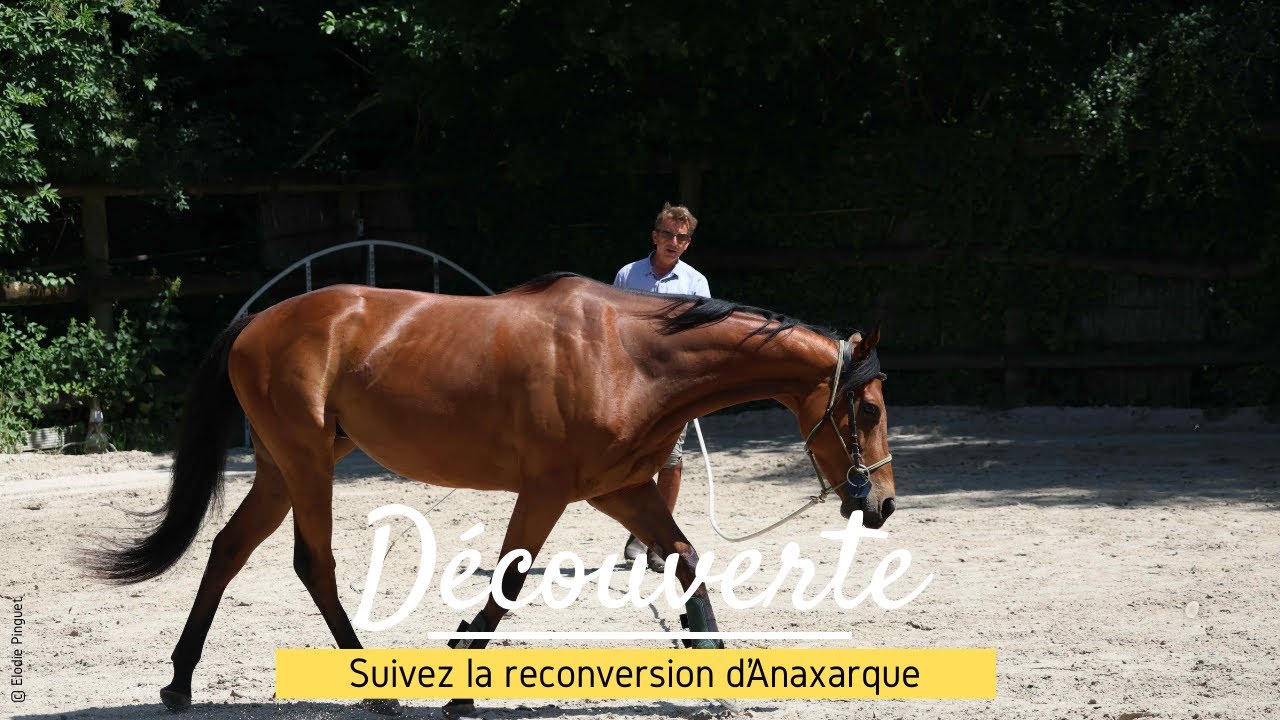 [DÉCOUVERTE] Suivez la reconversion d’Anaxarque