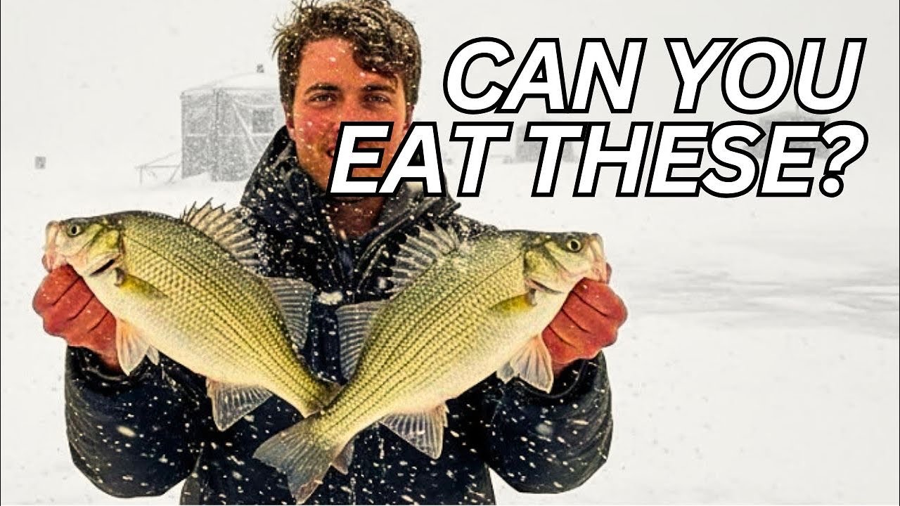TRASH FISH | Ice Fishing Catch & Cook