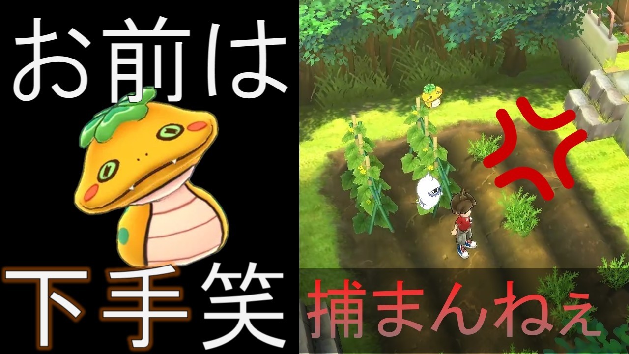 【老体ウォッチ】part５　ツチノコは煽る