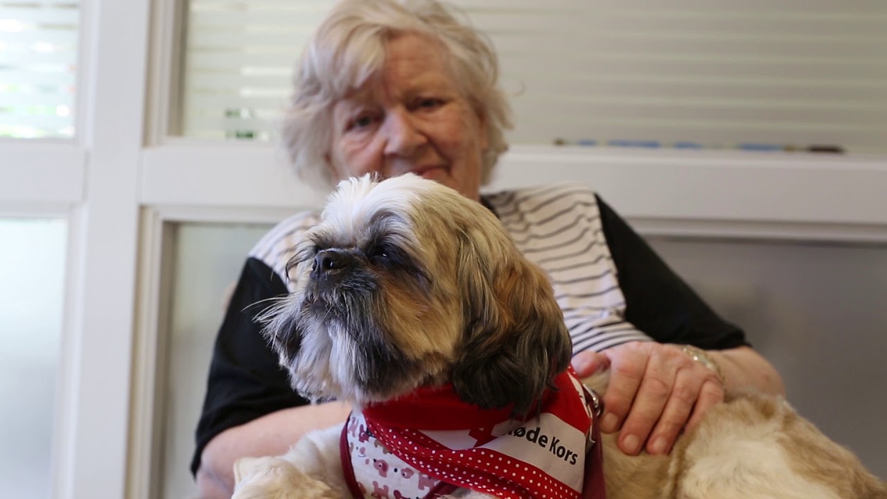 Besøksvenn med hund (2018)