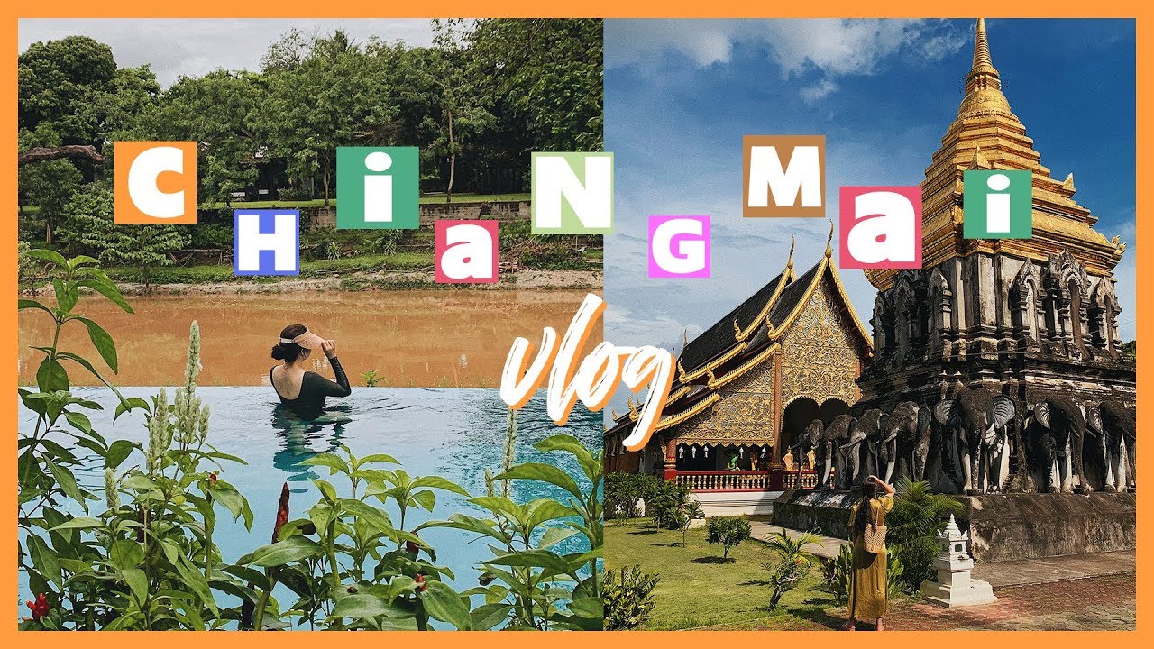 요즘 핫하디 핫한 여행지💚태국 치앙마이 4박 5일 브이로그🌿Chiangmai Vlog