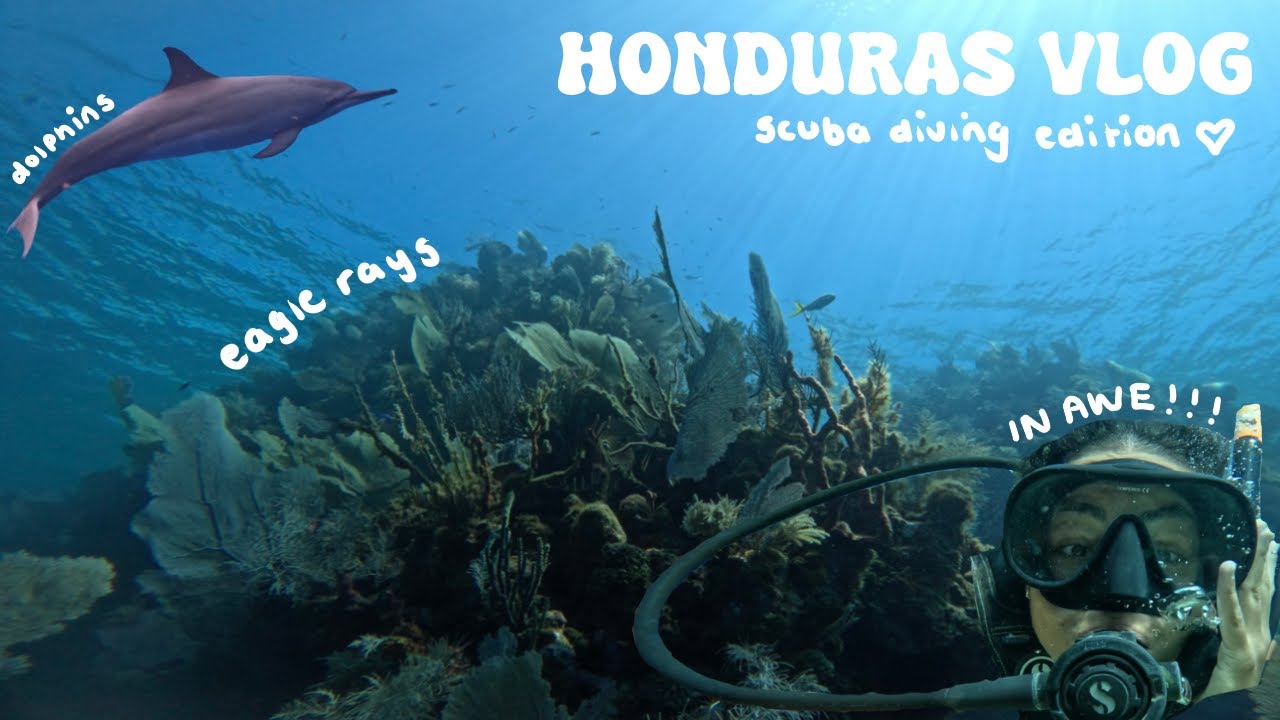 scuba diving in Honduras - TRAVEL VLOG