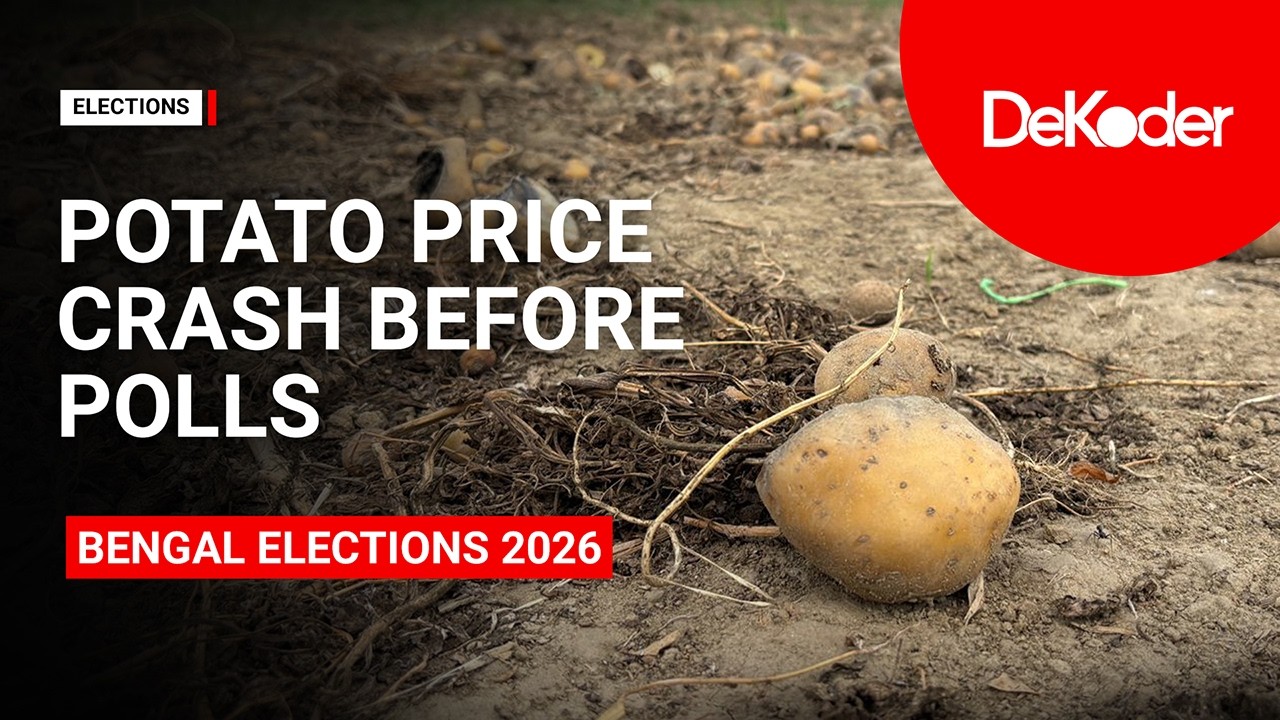 Ground Report: Potato Price Crash Sparks Farmer Distress Ahead of Bengal Elections | DeKoder