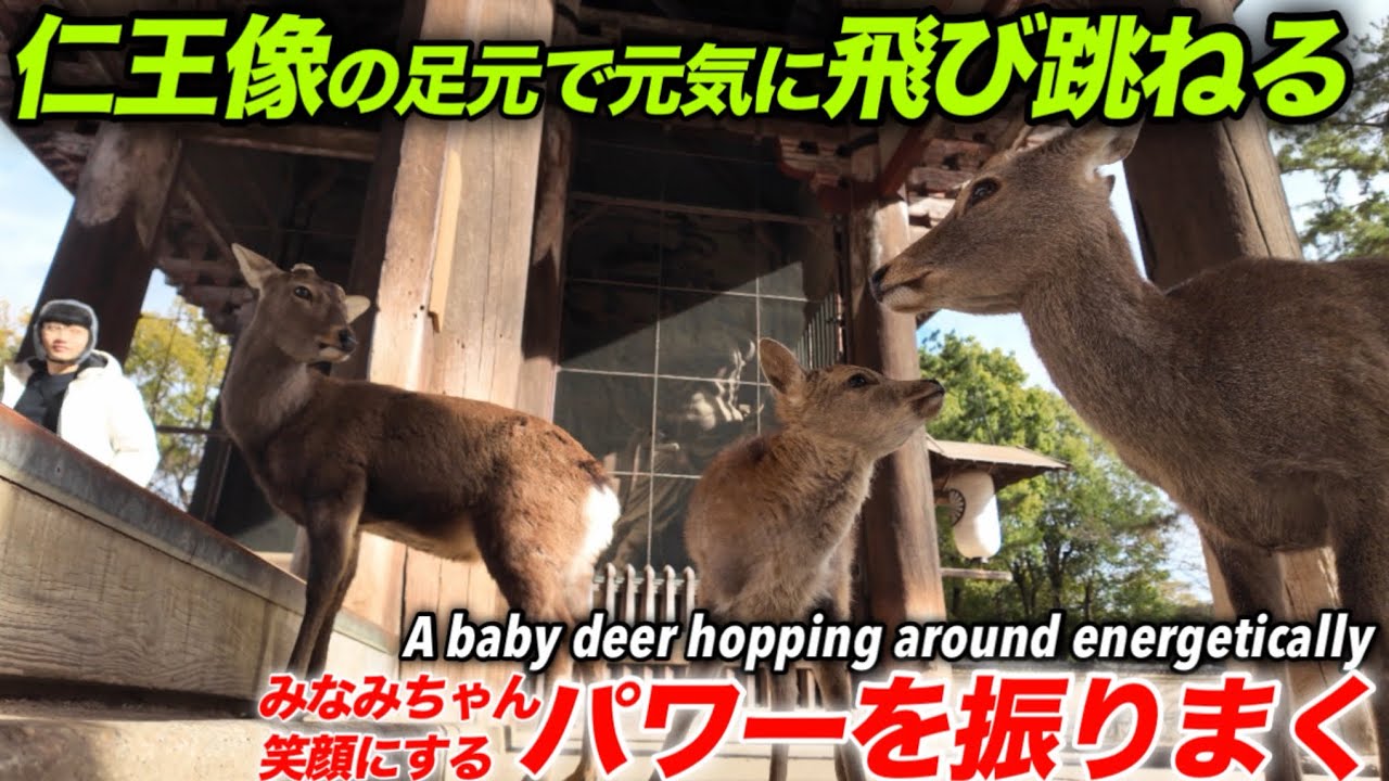 仁王像の足元で元気に飛び跳ねる　みなみちゃん元気のパワーを振りまく