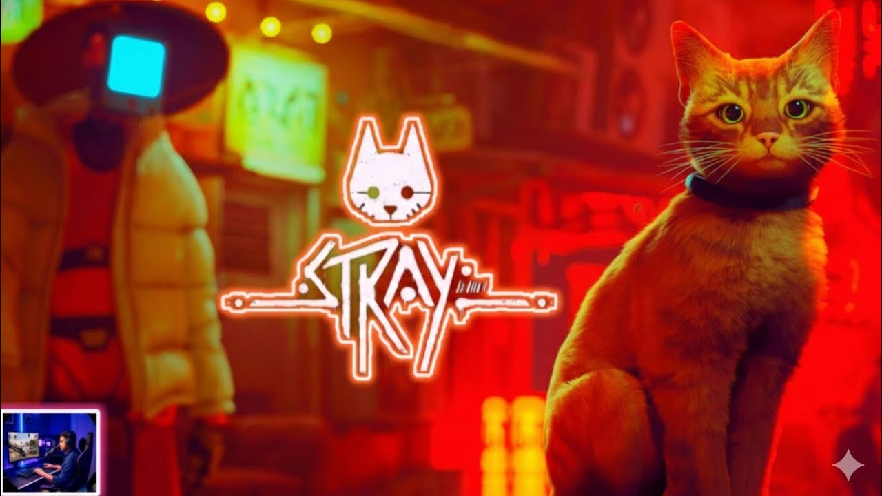 Stray Gameplay 🐱 | A Beautiful & Emotional Cat Adventure