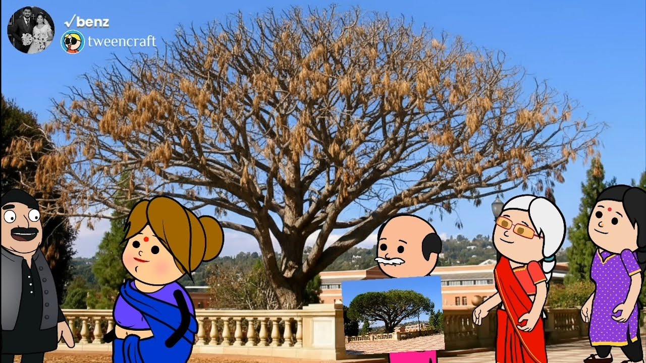 Ep-1 மரம் எல்லாம் தானா பட்டுப்போகுது 