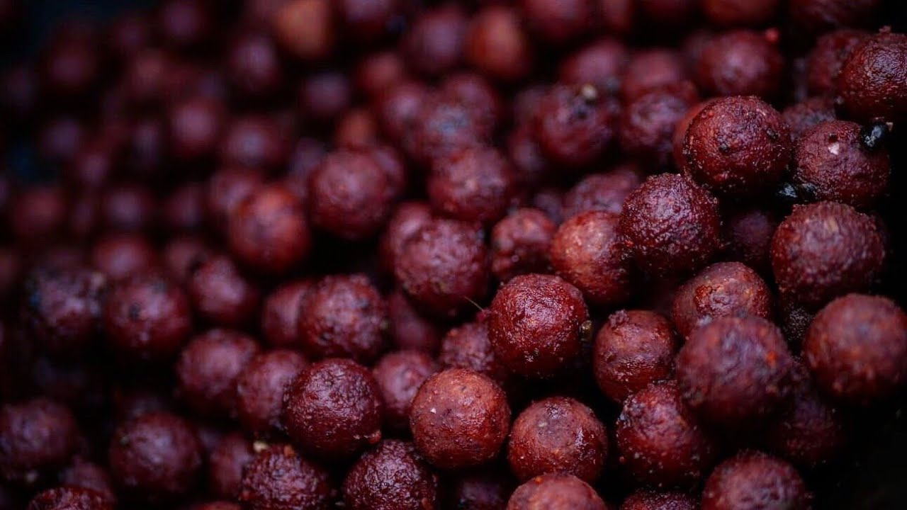 Reteta de boilies pentru crap