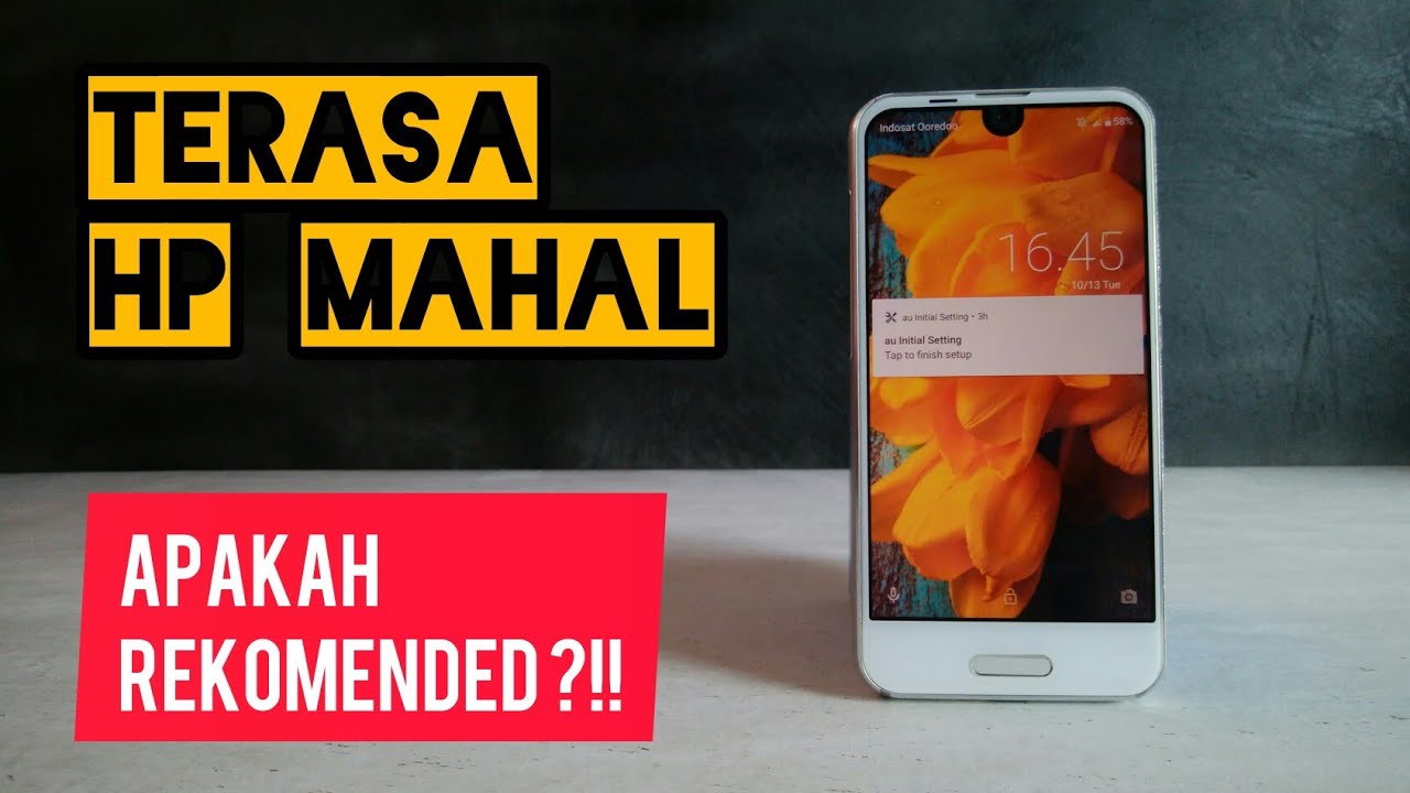 Review Jujur Kelebihan dan Kekurangan Sharp Aquos R Compact Di 2020!