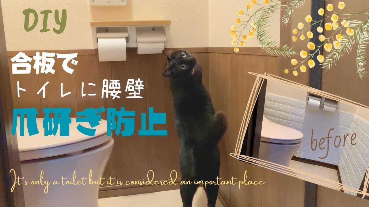 【DIY】合板でトイレに腰壁 ～猫の爪研ぎ防止～