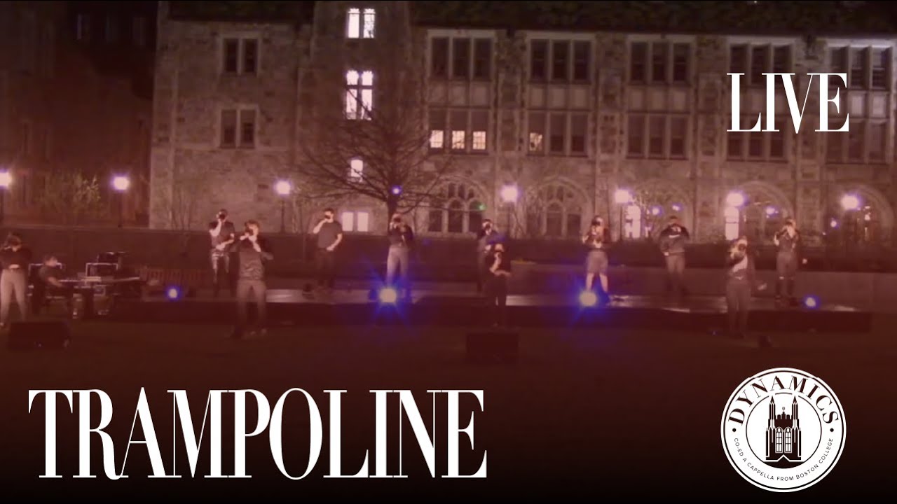 Trampoline (opb. SHAED) LIVE! - The BC Dynamics