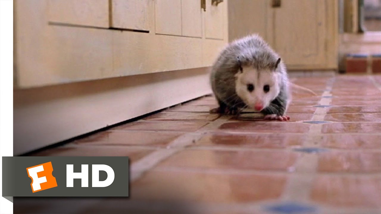 Clockstoppers (1/9) Movie CLIP - Possum Trouble (2002) HD