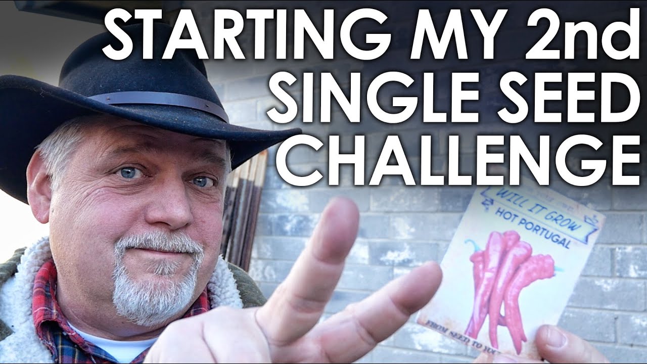 Starting My SECOND Single Seed Challenge || Black Gumbo