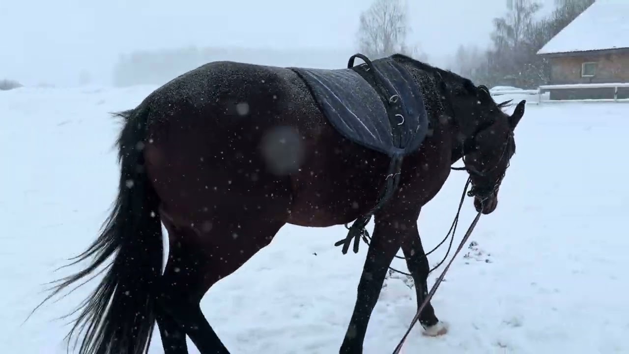Работаем в метель. 