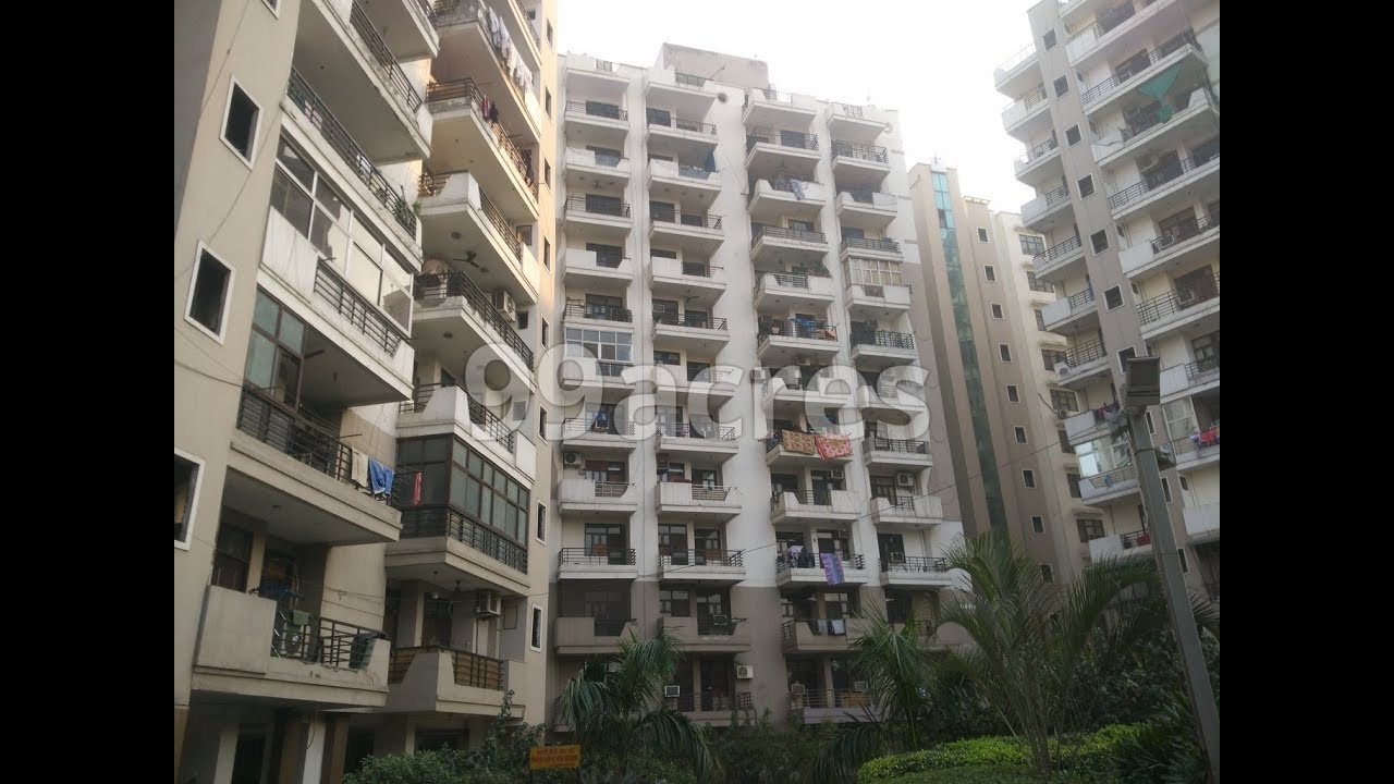 Ajnara Pride
