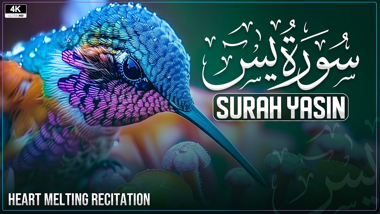 Surah Yasin | Beautiful Quran Recitation