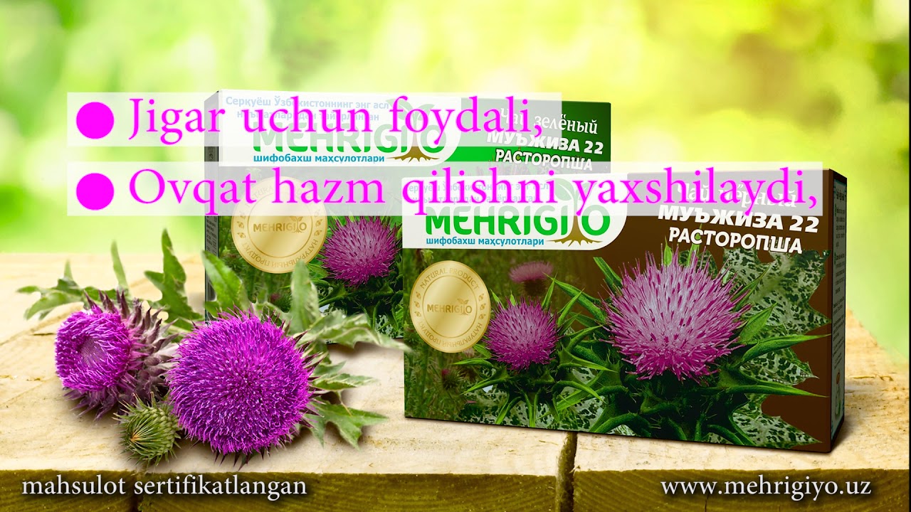MEHRIGIYO rastoropsha choyi