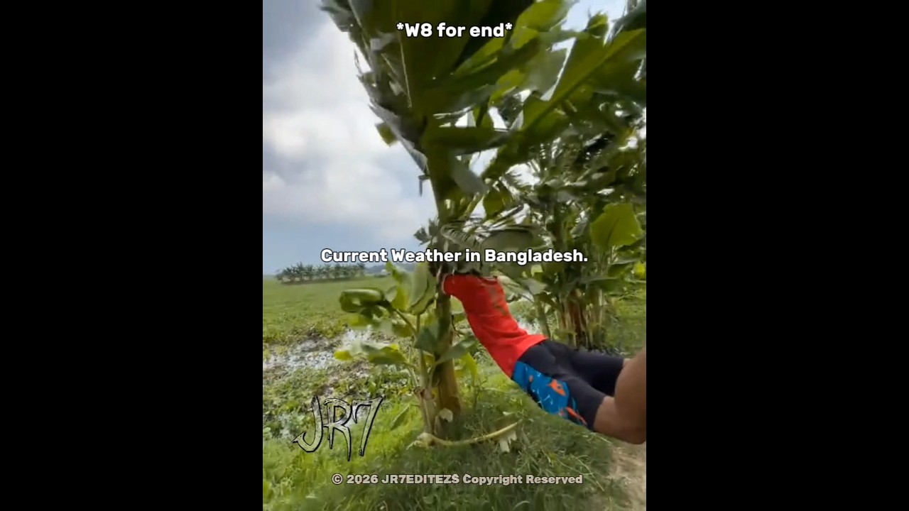 Current Weather in Bangladesh 🇧🇩🔥🗿 #shorts #bangladesh #weather #trending #edit #viral