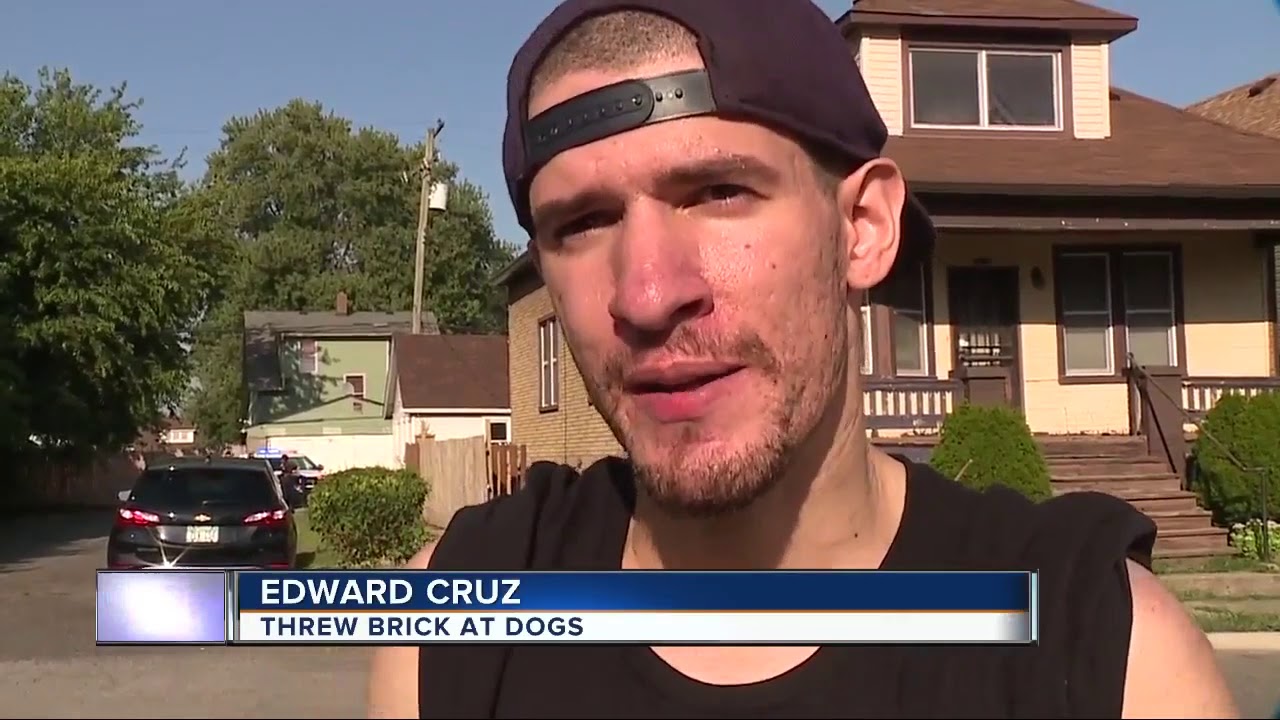 Girl,9, killed by 3 pitbulls in Detroit; dogs' owner in custody