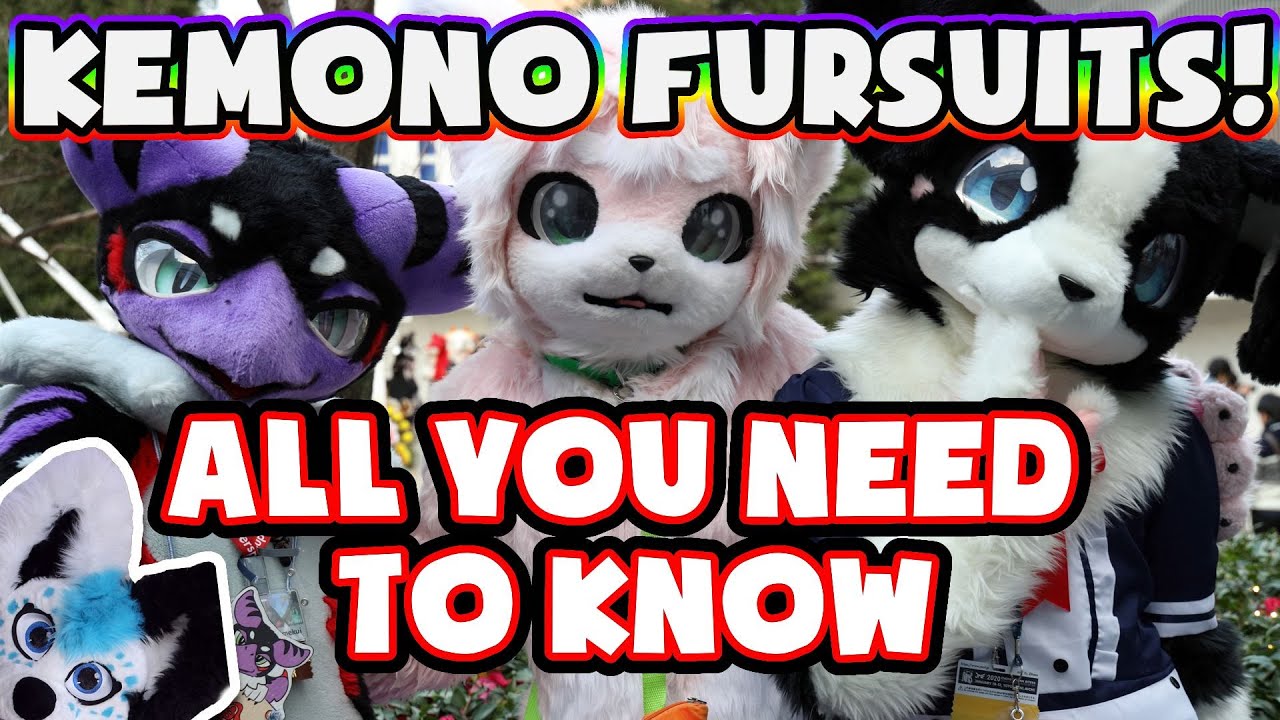 ФУРСЬЮТЫ KEMONO! Всё, что вам нужно знать!