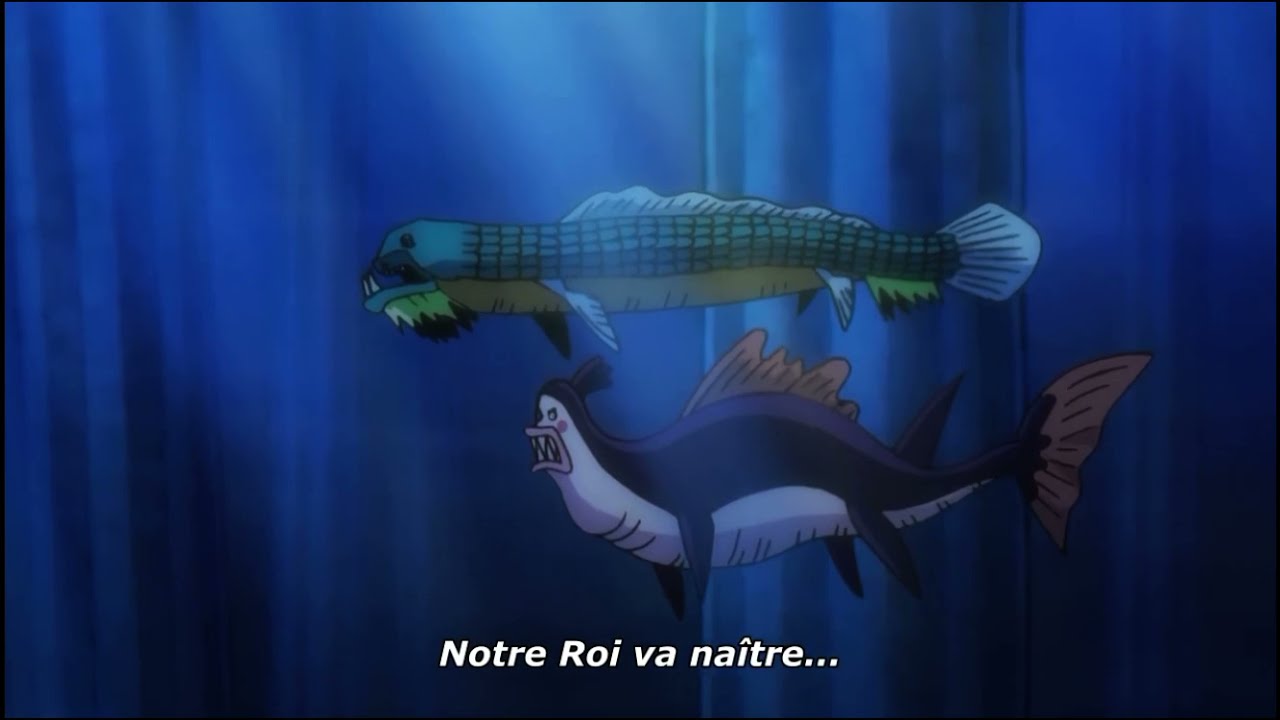 LES ROIS DES MERS PARLENT DE LUFFY (JOYBOY) ET SHIRAHOSHI (POSEIDON) VOSTFR