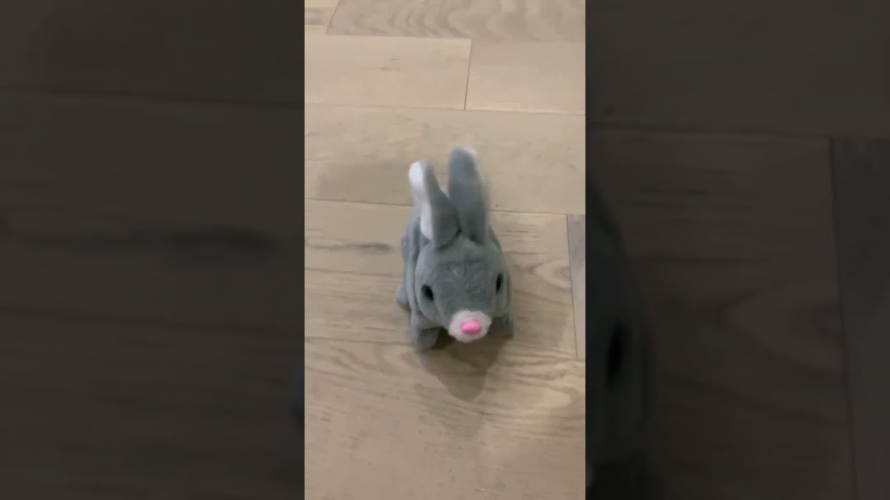 RABBIT TOY #video #toys #shorts #short #shortvideo #viral #viralvideo #viralshorts