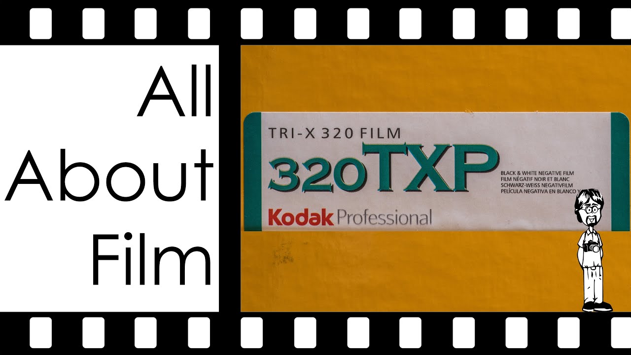 Kodak Tri-X 320 4X5 and 8X10 Black and White Sheet Film Review | All About Film