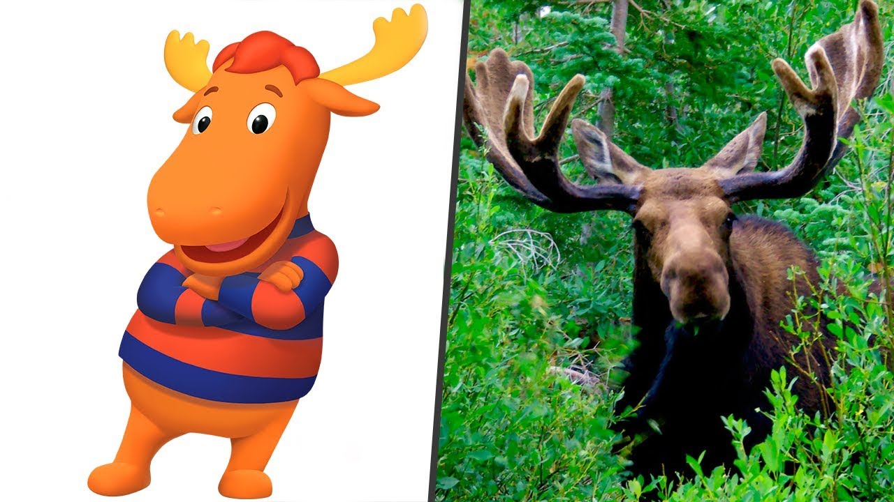 The Backyardigans in Real Life! All Characters