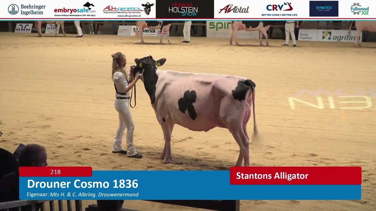 Holland Holstein sHow 2023 (zaterdag 11 november)