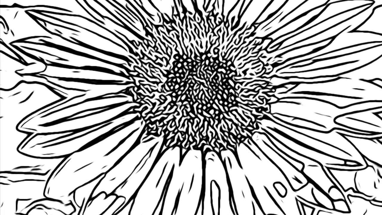 Coloring Book Mockup. Soon! TT T Shirts. Music Credit, goes to, Martin Baekkevold. Epidemic Sound.